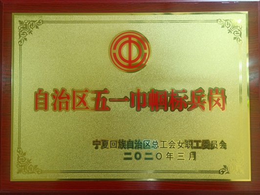 自治區(qū)總工會命名“自治區(qū)五一巾幗標(biāo)兵崗、五一巾幗標(biāo)兵”榮譽(yù)稱號，寧夏建投榜上有名
