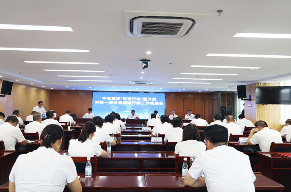 寧夏建投召開“雙百行動(dòng)”暨開展對標(biāo)一流價(jià)值創(chuàng)造行動(dòng)工作推進(jìn)會(huì)