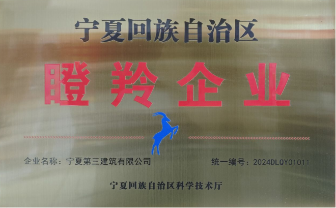 寧夏三建獲評(píng)“自治區(qū)瞪羚企業(yè)”