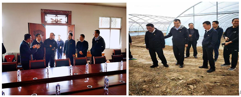 16192789637107.png 3453.png